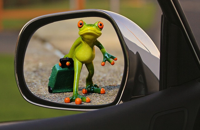 Frosch im Seitenspiegel des Autos