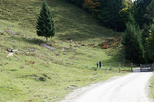 ein Paar auf einem Wanderweg