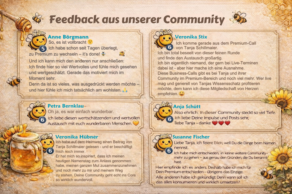 Rückmeldungen von sechs Gruppenmitgliedern